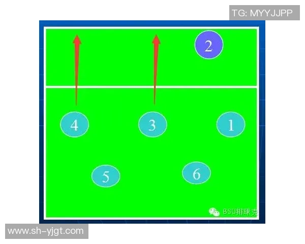 上海排球队意识探讨与战术提升的深度分析与思考