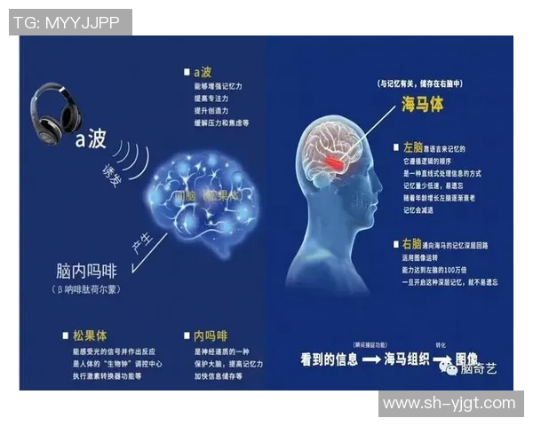 专访陈敏：探寻英雄联盟成功背后的秘密与未来发展之路