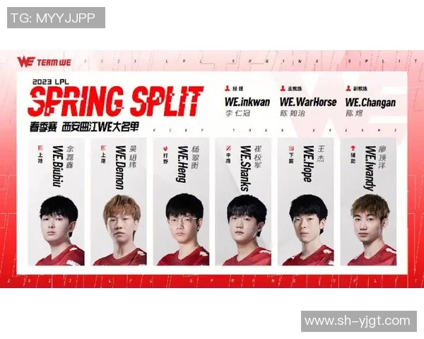 全明星赛分析：WE战队展现卓越团队协作与默契配合