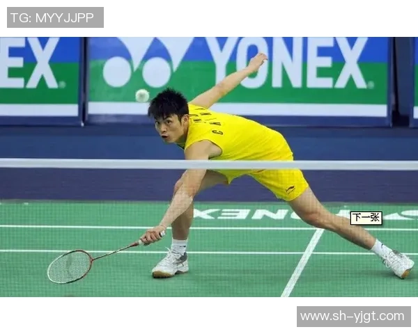 吴丽独家分享羽毛球技巧与心得助你提升球技的全面指南