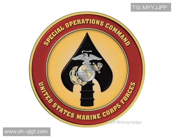 广州极限运动队战术深度解析与对比研究 广州极限运动队战术深度解析与对比研究