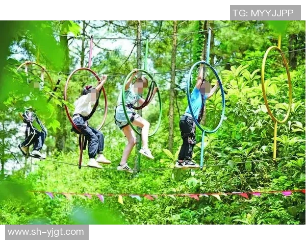 杨丽独家揭秘极限运动的乐趣与挑战分享心得与技巧 杨丽独家揭秘极限运动的乐趣与挑战分享心得与技巧