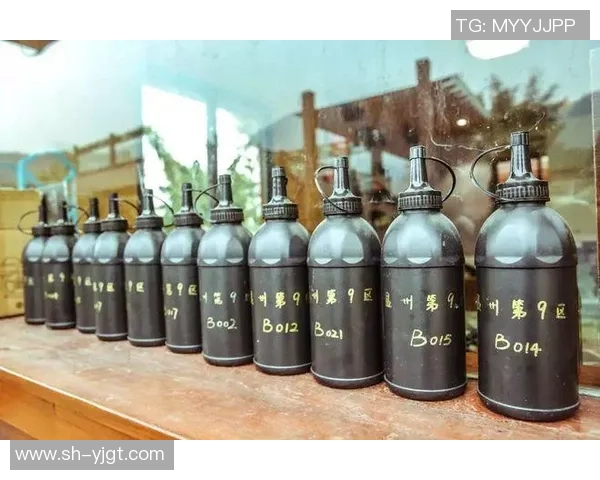 武汉极限运动队整体压制打法深度分析与战术解读 武汉极限运动队整体压制打法深度分析与战术解读