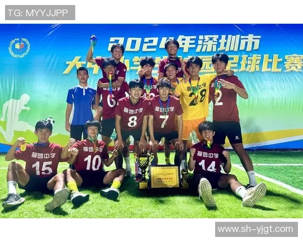 深圳足球队技术争议引发热议球迷与专家观点交锋分析 深圳足球队技术争议引发热议球迷与专家观点交锋分析